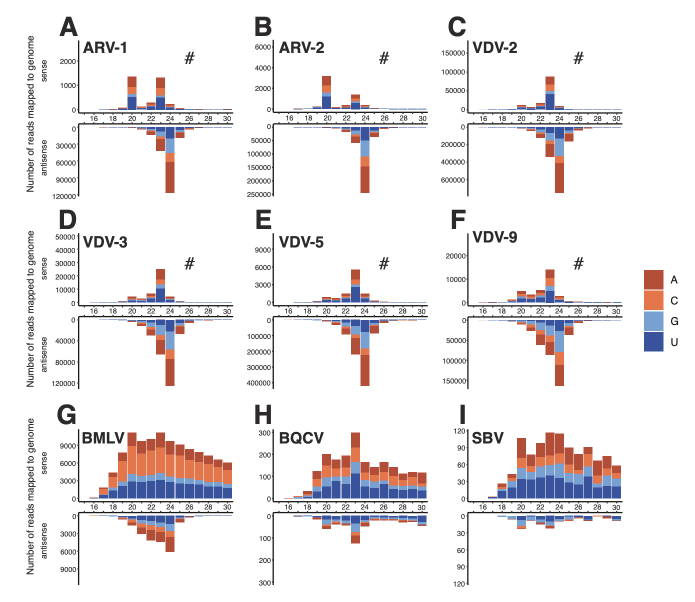 New paper: Varroa and viruses