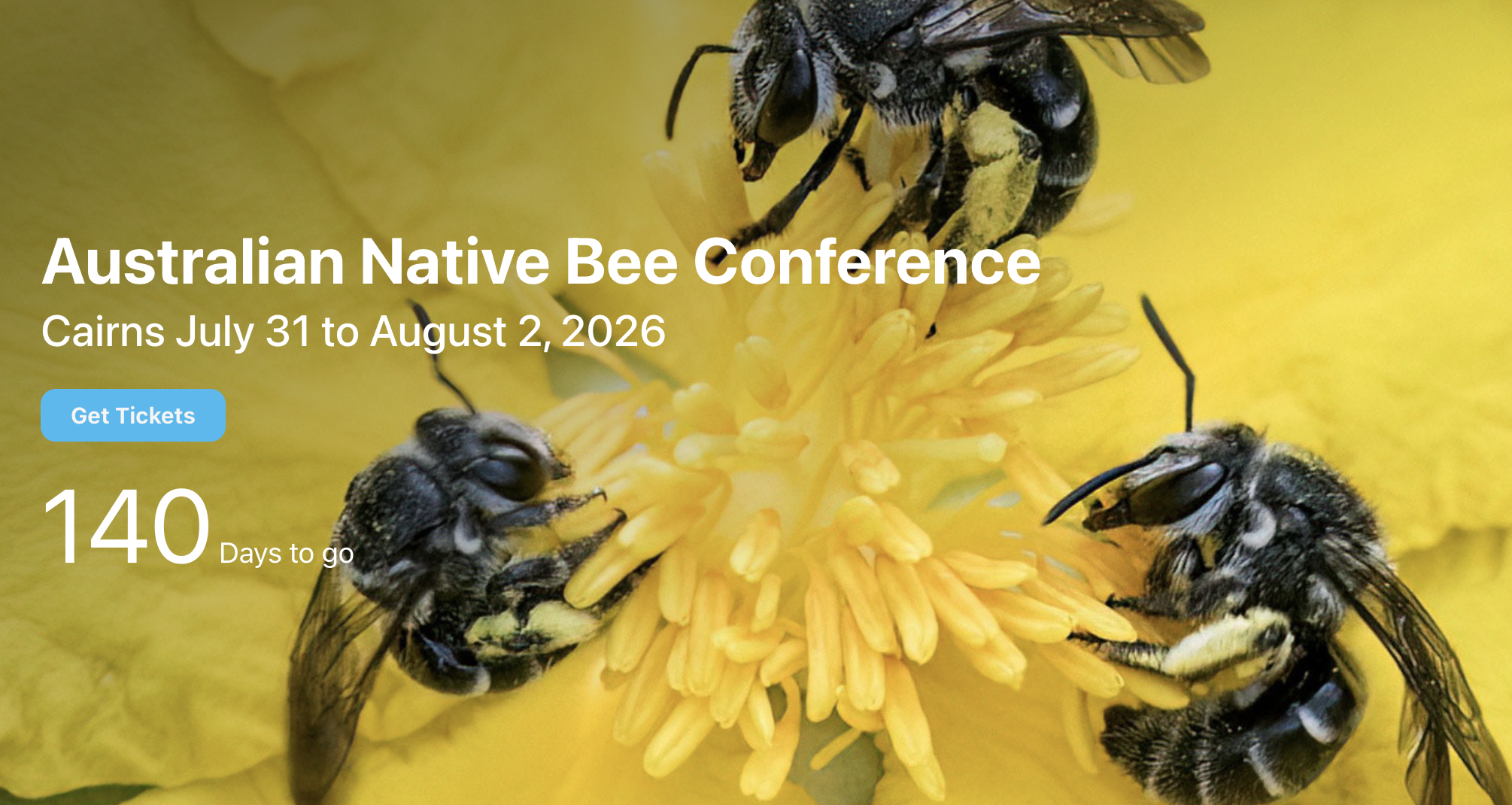 ANBA 2026 Program released